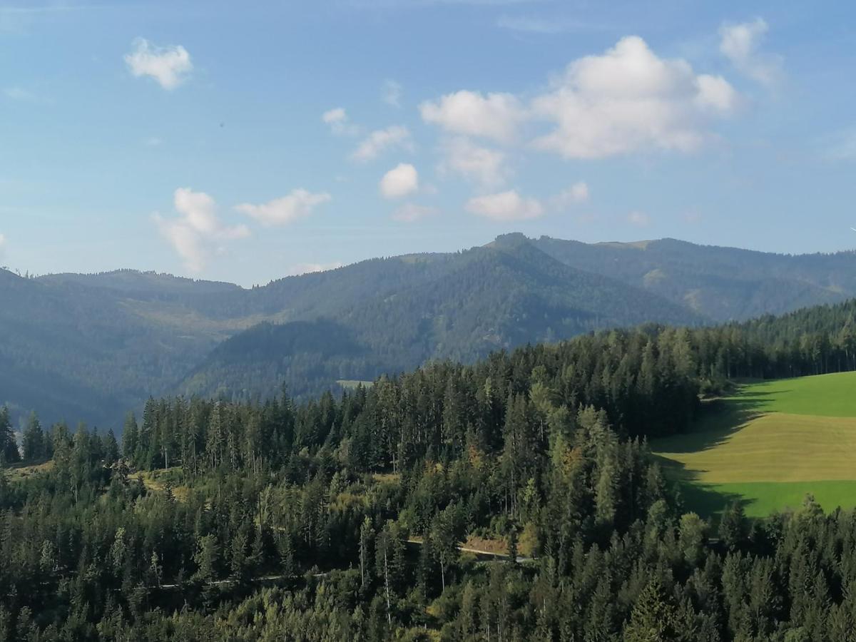 Ferienhaus Stubalpenblick Villa Salla Екстериор снимка